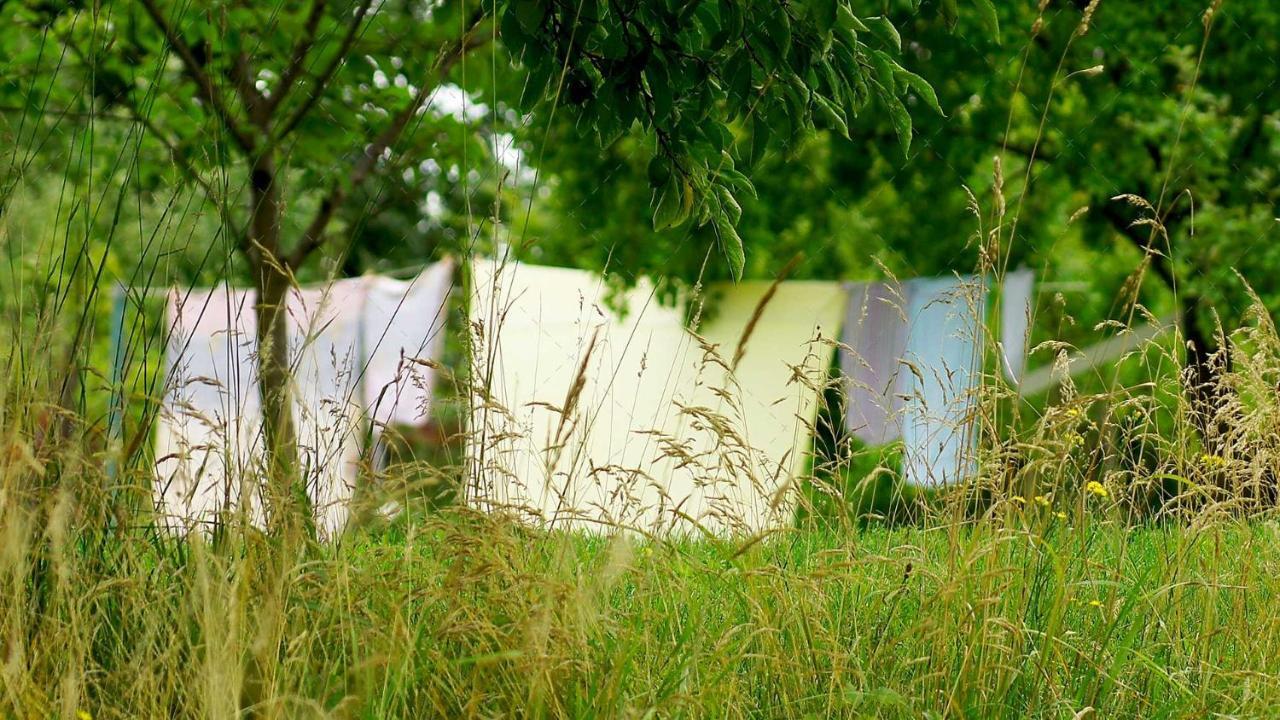 JANISCHs Fewo im Spreewald Unterspreewald Exterior foto