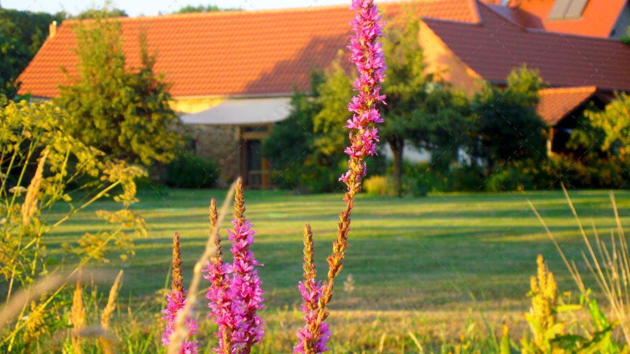 JANISCHs Fewo im Spreewald Unterspreewald Exterior foto