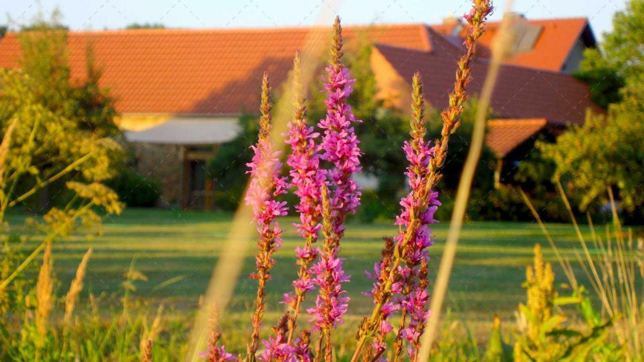 JANISCHs Fewo im Spreewald Unterspreewald Exterior foto